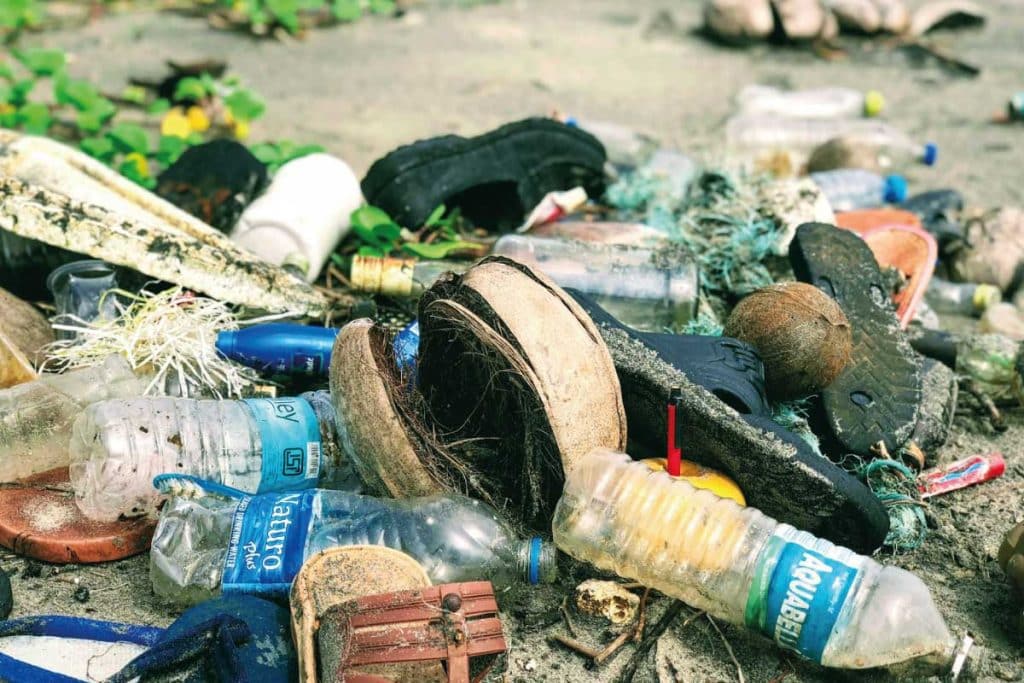 conservazione dell'ambiente