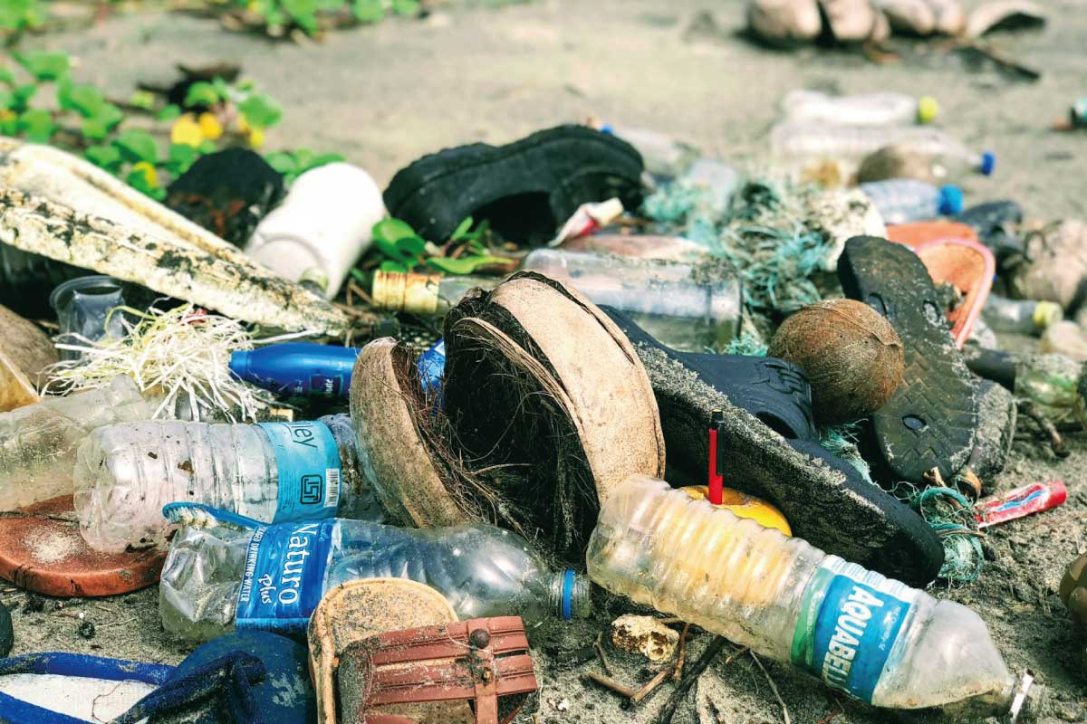 conservazione dell'ambiente